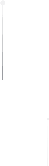 net